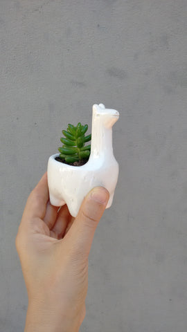 Llama Planter Small